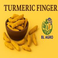 TURMERIC FINGER 